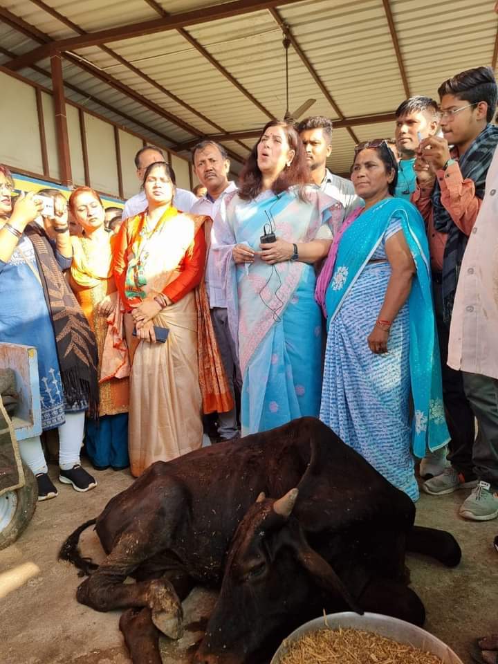 भाजपा ने चलबो गौठान खोलबो पोल अभियान शुरू किया भाजपा ने चलबो गौठान खोलबो पोल अभियान शुरू किया