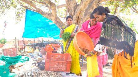 सामुदायिक बाड़ी से बढ़ रहा है सब्जी का उत्पादन सामुदायिक बाड़ी से बढ़ रहा है सब्जी का उत्पादन