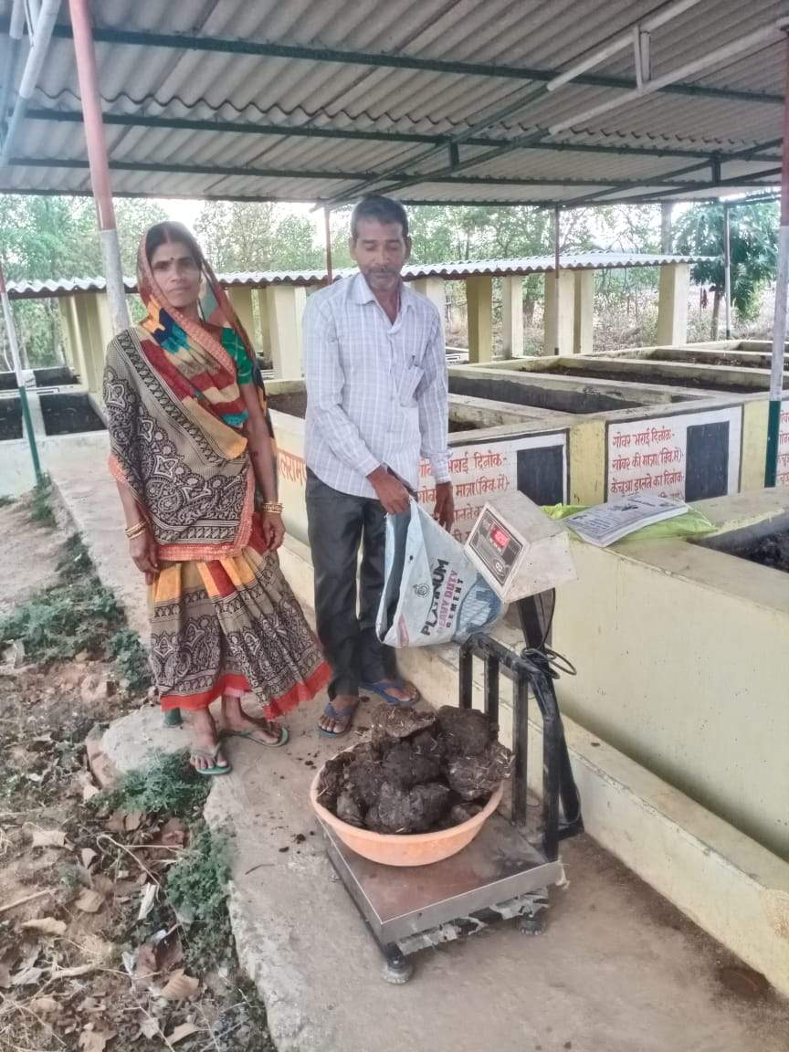 बीरबल ने गोबर बेचकर खरीदी  बकरी तो मनबसिया ने गाय