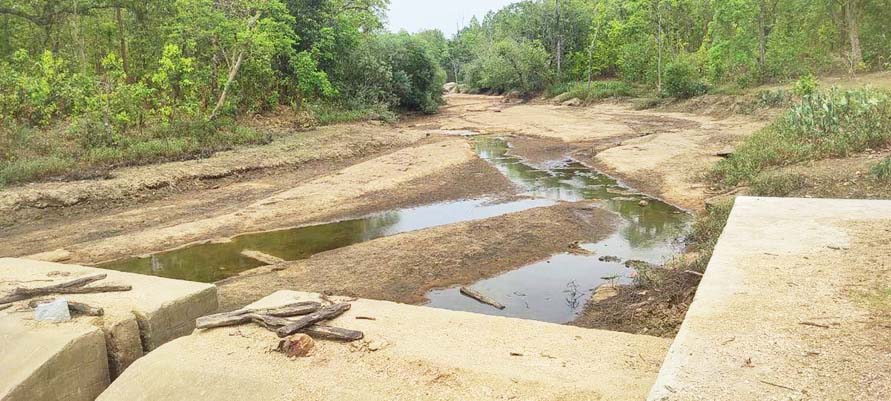 शरारती तत्वों ने मछली के लालच में आकर डेम का सारा पानी बहा दिया