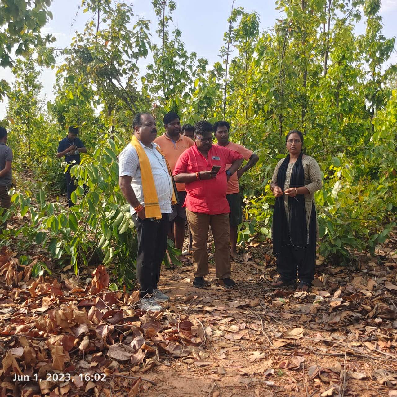 हाथी के हमले से वृद्ध की मौत