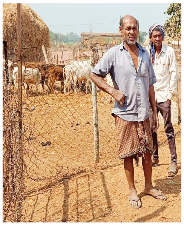 गोबर बेचने से मिले पैसे से कराई बहन की शादी गोबर बेचने से मिले पैसे से कराई बहन की शादी