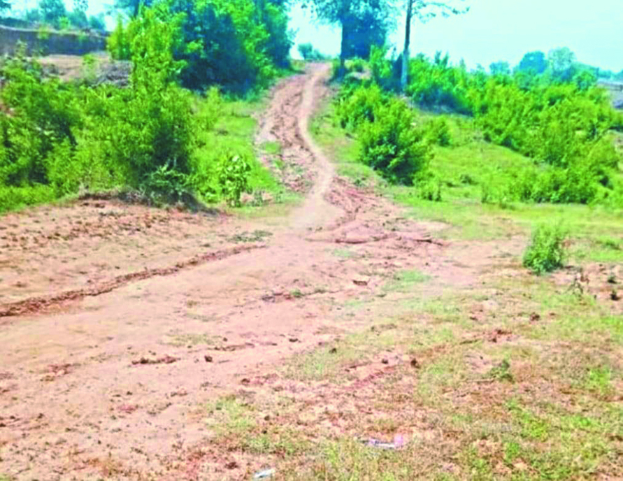 सेमरिया रोड पर बारहमासी आवागमन सडक़ का है अभाव, बारिश में खेतों से करते हैं आना-जाना सेमरिया रोड पर बारहमासी आवागमन सडक़ का है अभाव, बारिश में खेतों से करते हैं आना-जाना