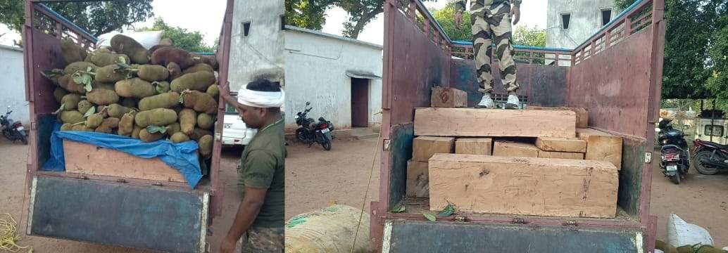 कटहल के नीचे छिपाकर लकडिय़ों की तस्करी, एक गिरफ्तार, एक फरार