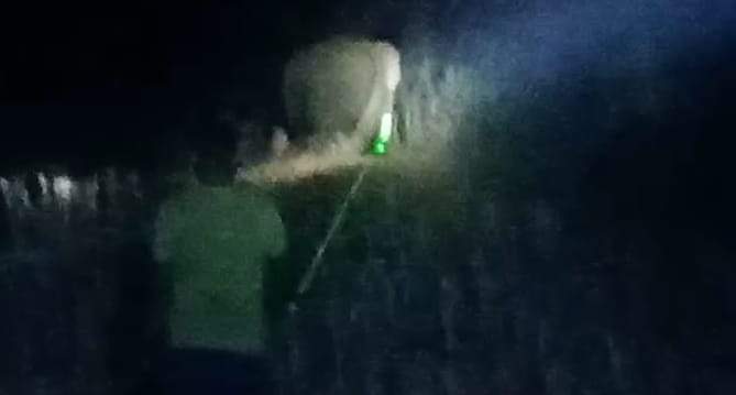 जंगल से भटककर बस्तियों में पहुंच रहा हाथी, दहशत 