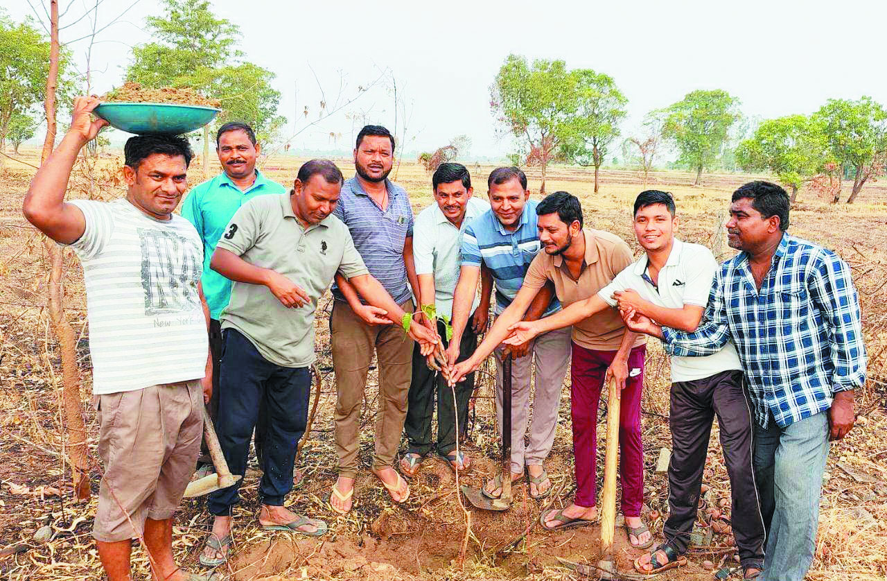समर्पण ग्रुप ने पौधों का रोपण  कर संरक्षण का लिया संकल्प