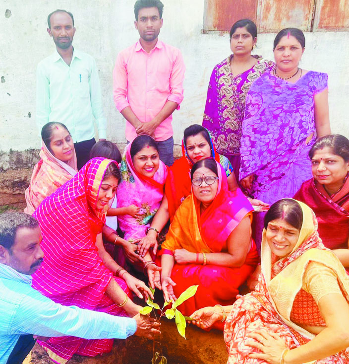 विभिन्न संस्थाओं ने लिया पर्यावरण संरक्षण का संकल्प