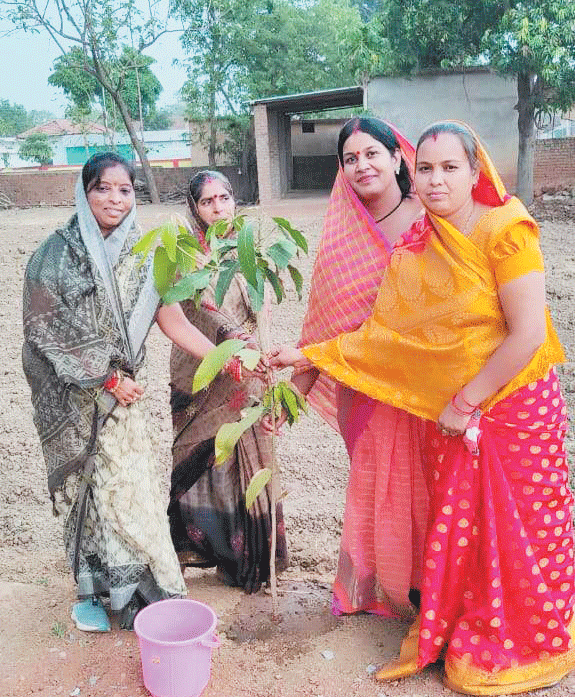 पर्यावरण दिवस पर रोपे पौधे