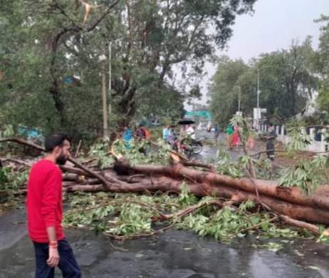 आंधी तूफान से गिरे पोल, पेड़ धराशायी, आवागमन बाधित