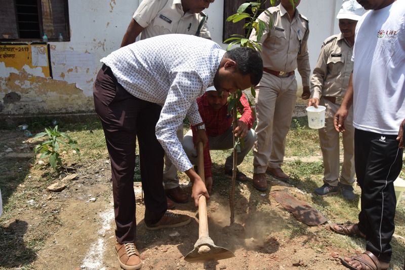 पर्यावरण की सुरक्षा और संरक्षण हमारी जिम्मेदारी -देवती
