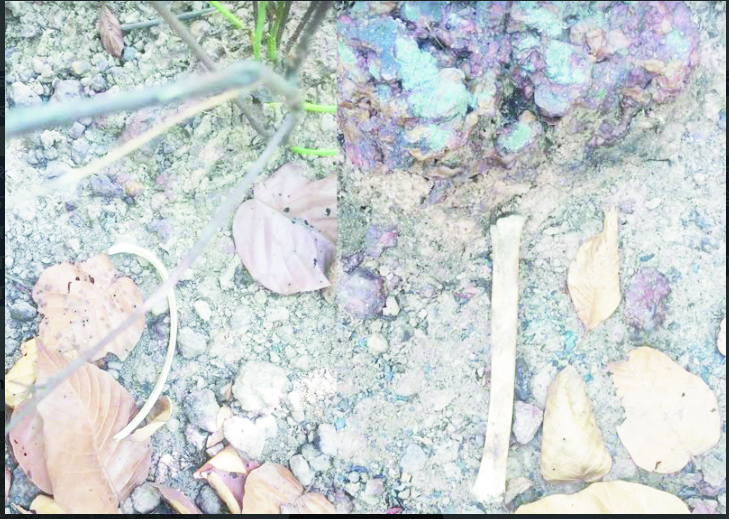 जंगल में मानव कंकाल मिलने से सनसनी,  जांच में जुटी पुलिस 