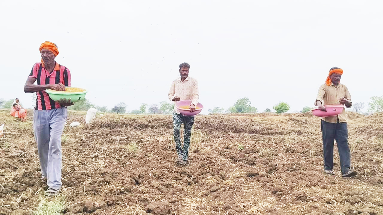 बारिश की पहली फुहार के बाद किसानों ने किया खेतों का रूख बारिश की पहली फुहार के बाद किसानों ने किया खेतों का रूख