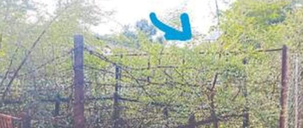 झाडिय़ों के बीच छिप गया है ऑटोमैटिक रैन गेज सिस्टम, सुध लेने वाला कोई नहीं