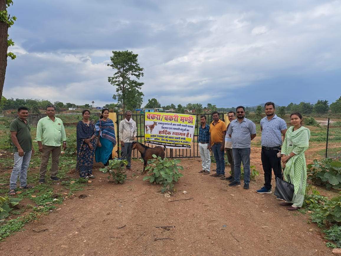 पौनी पसारी परिसर में बकरा बकरी मंडी