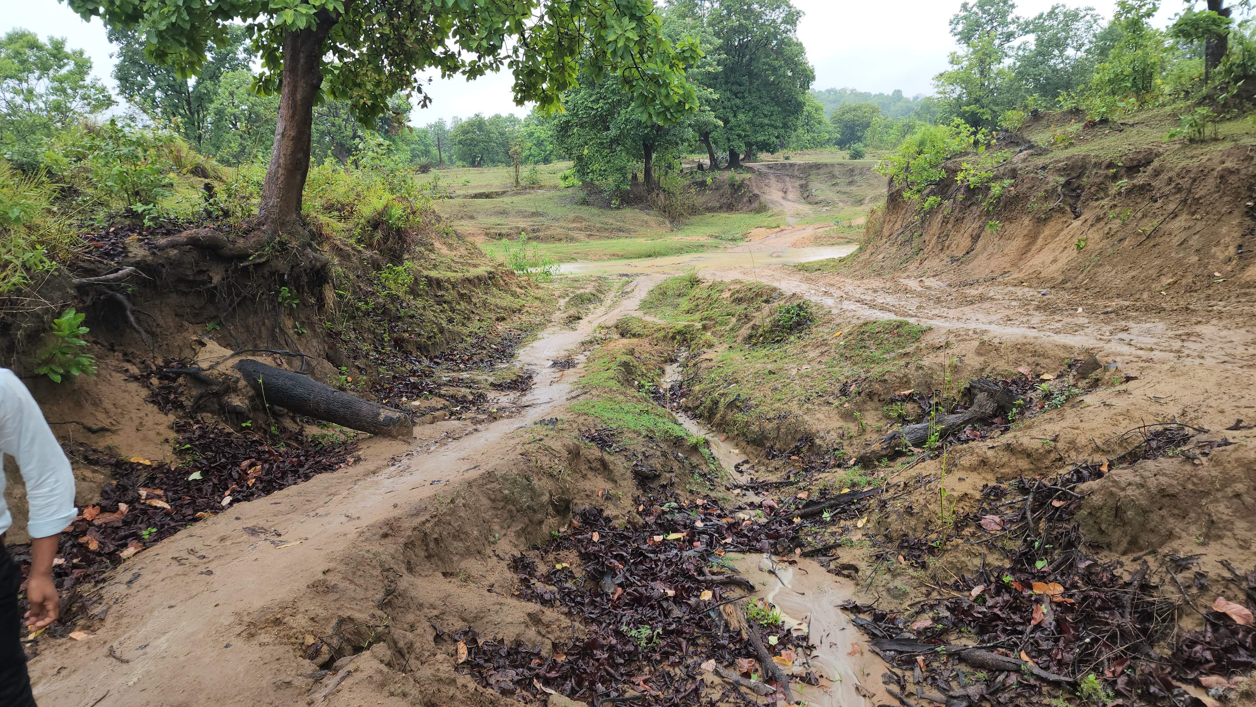 पुलिया-सडक़ नहीं होने से बारिश के समय कट जाता है गांव, विकास की आस में बैठे ग्रामीण
