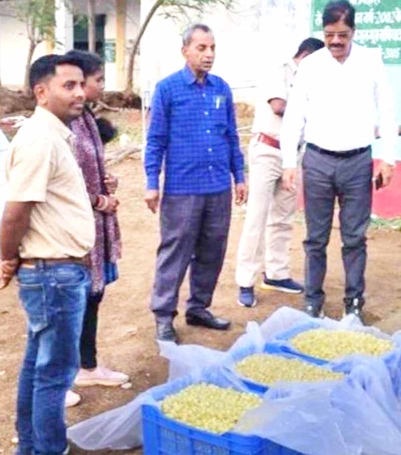 छत्तीसगढ़ के महुआ की महक पहुंचने लगी देश-विदेश तक