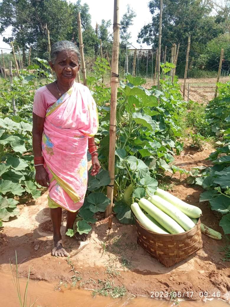 दूसरों के खेतों में करती थी मजदूरी, अब खुद उगा रही सब्जी 
