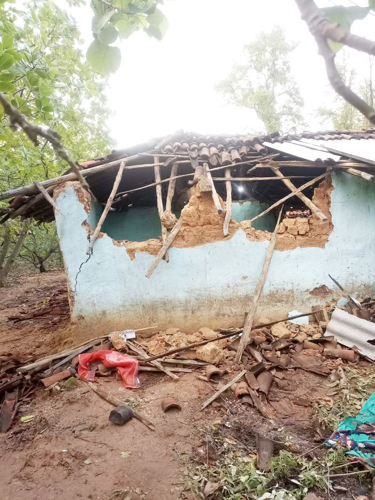 हाथी ने गांव में मचाया उत्पात, तीन मकानों को पहुंचाया नुकसान