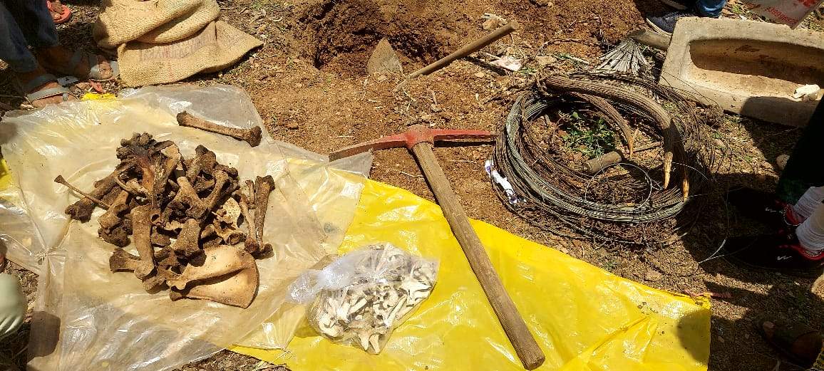मुख्य शिकारी ने उगले राज, 13 लाख में सीआरपीएफ जवान ने किया था खाल का सौदा, बाघ की हड्डियां बरामद मुख्य शिकारी ने उगले राज, 13 लाख में सीआरपीएफ जवान ने किया था खाल का सौदा, बाघ की हड्डियां बरामद