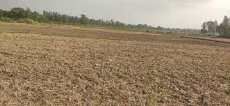 खेत, मकान बेचने एक करोड़ से अधिक का सौदा किया, 13 लाख बयाना लेकर रजिस्ट्री से मुकरे 