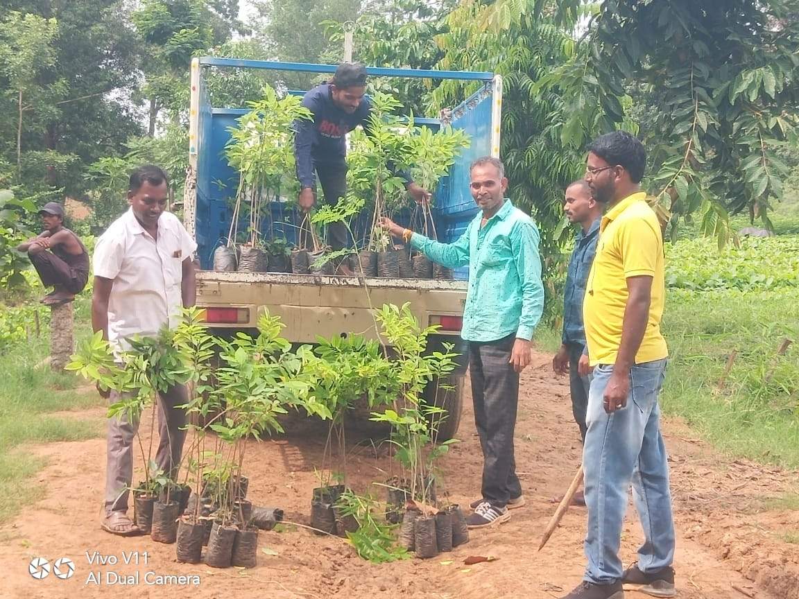 पौधा जगाबो महाअभियान कल 