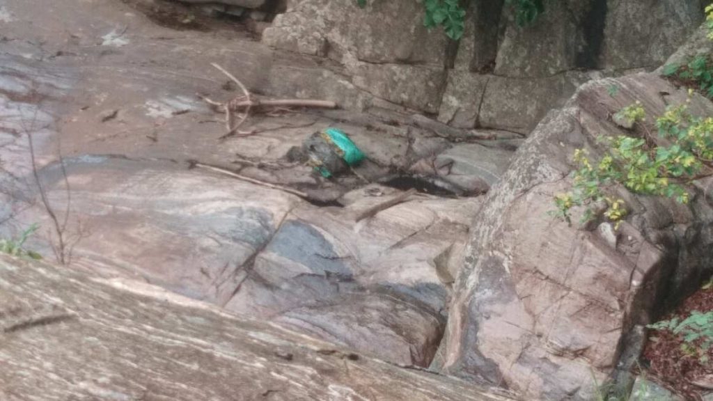 जलप्रपात में प्लास्टिक की बोरियों में टुकड़ों में मिली युवक की लाश