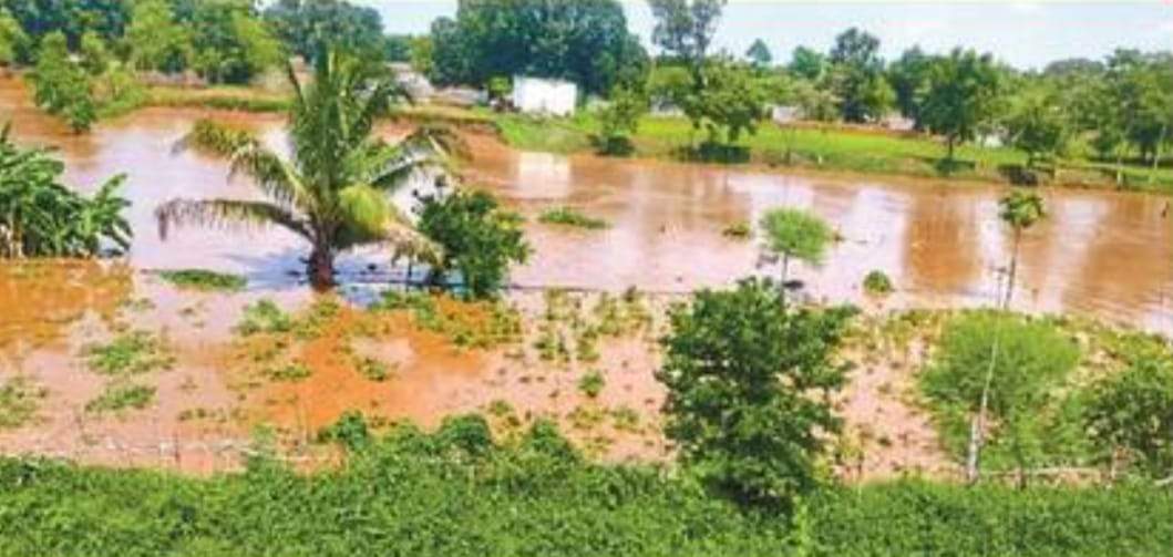 बाढ़ में डूबी सब्जी की फसलें, अरहर, धान, मूंगफली, कोदो को भी नुकसान 