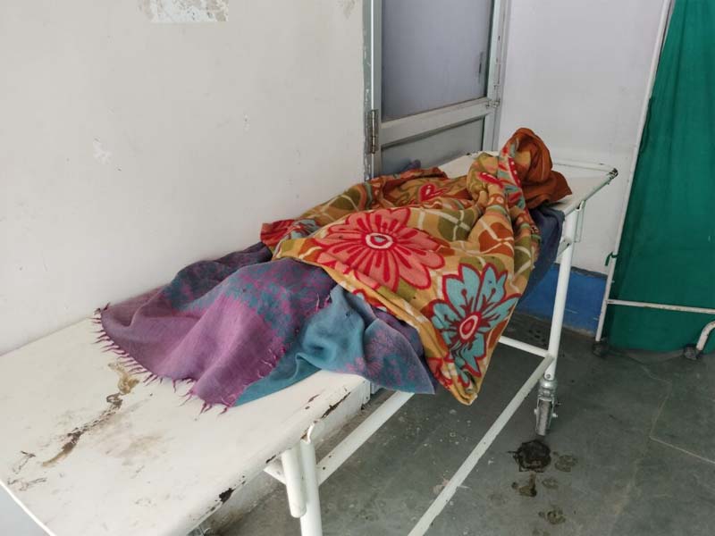 बाप-बेटी को सांप ने डसा, मासूम की मौत, पिता गंभीर  