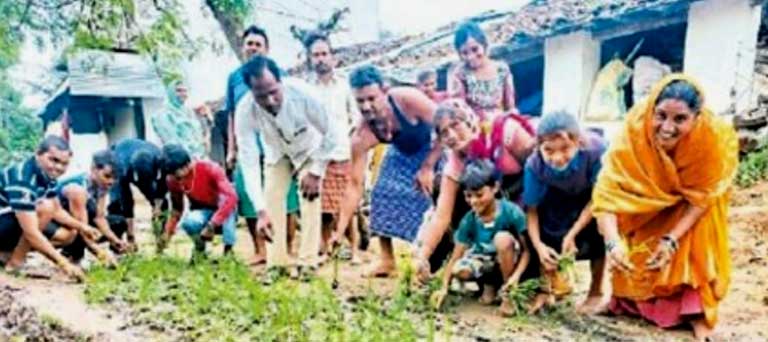 चलने लायक सडक़ नहीं ग्रामीणों ने गली में रोपा धान 