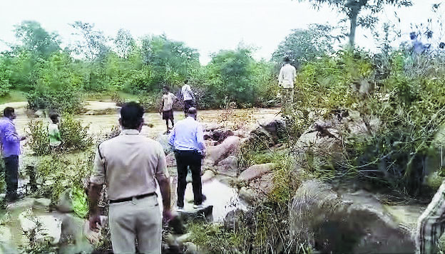 पेड़ से गिरकर 14 साल के बालक की मौत,