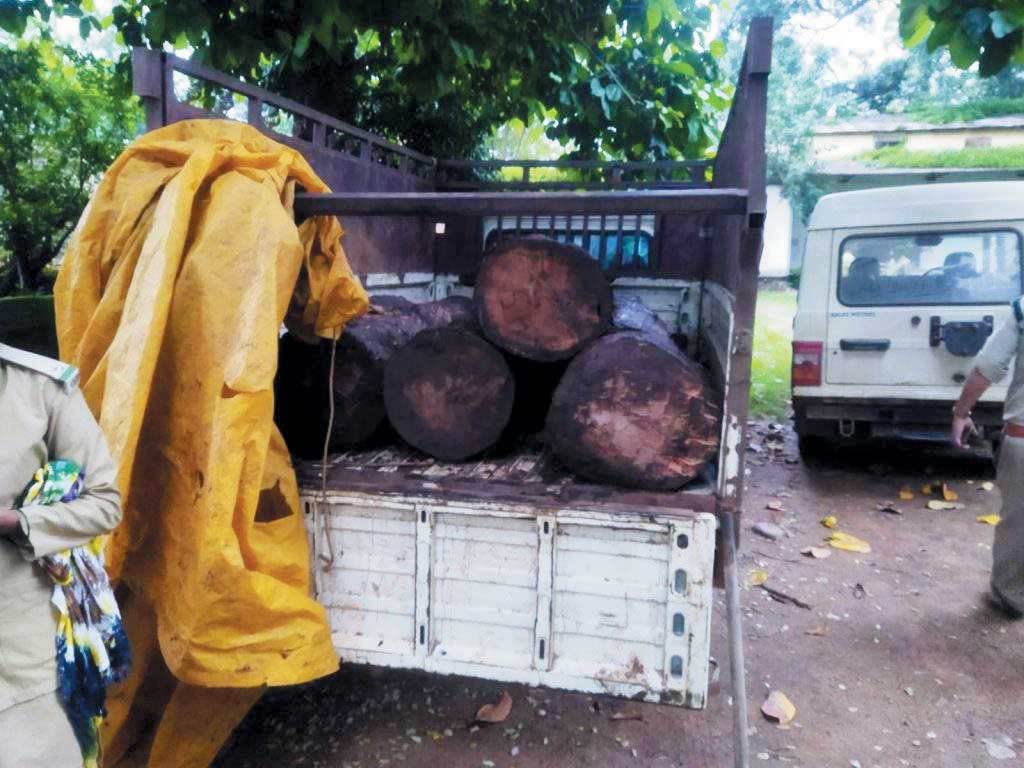 जंगलों की अवैध कटाई, 2 तस्कर लकडिय़ों के साथ गिरफ्तार