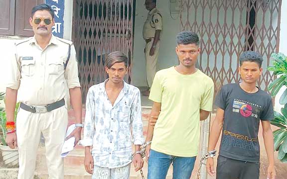 झपट्टा मारकर मोबाईल लूटने वाले 3 गिरफ्तार