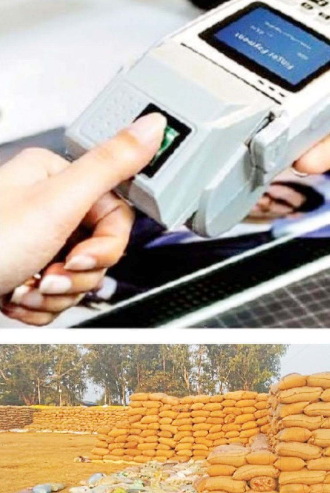 धान बेचने डेढ़ लाख किसानों को मशीन पर अंगूठा लगाना होगा, विकल्प भी मिलेगा 