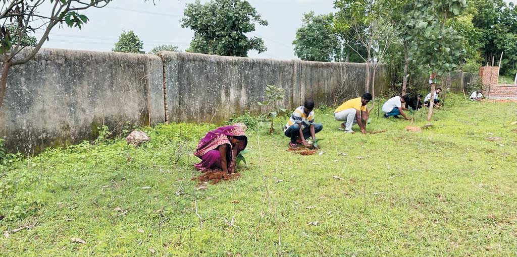 मेरा माटी मेरा देश कार्यक्रम मनाया, पौधरोपण