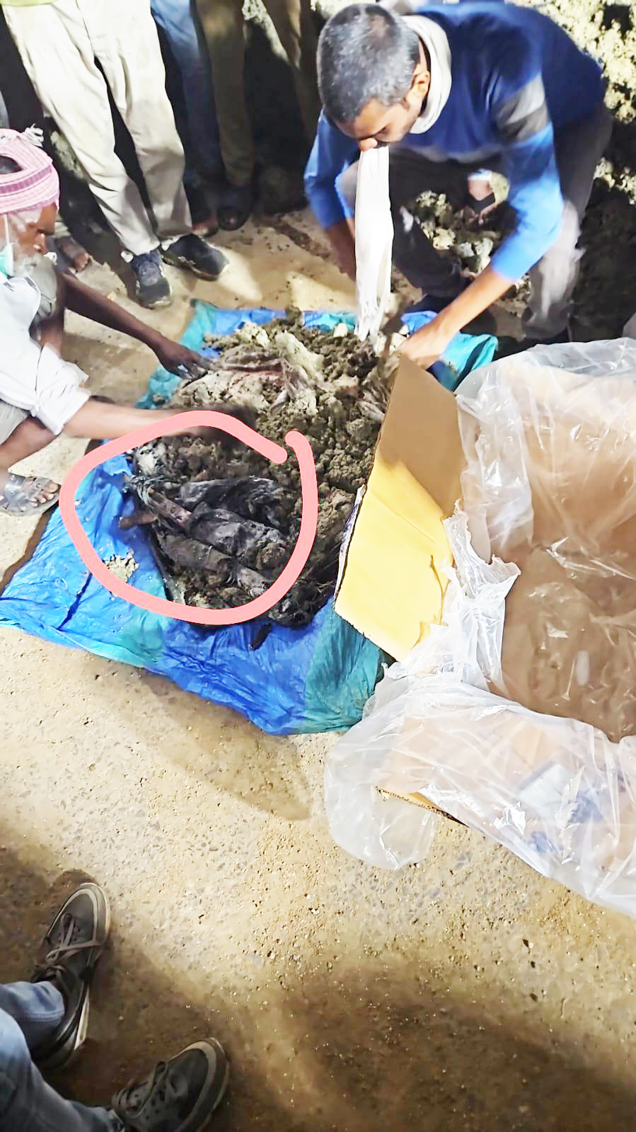 हाईवे की खुदाई कर निकाला गया कपड़े से लिपटा न्यूज एंकर सलमा का कंकाल