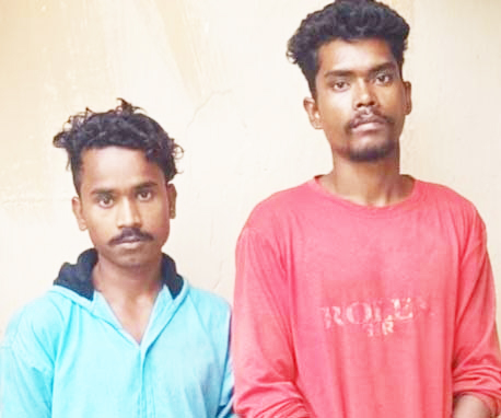 मंदिर में दान पेटी तोडक़र चोरी, 2 गिरफ्तार