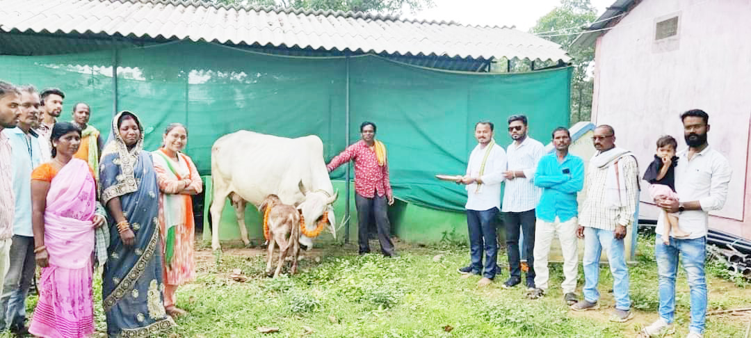 युवा कांग्रेस ने मुख्यमंत्री के जन्मदिन पर गौसेवा किया