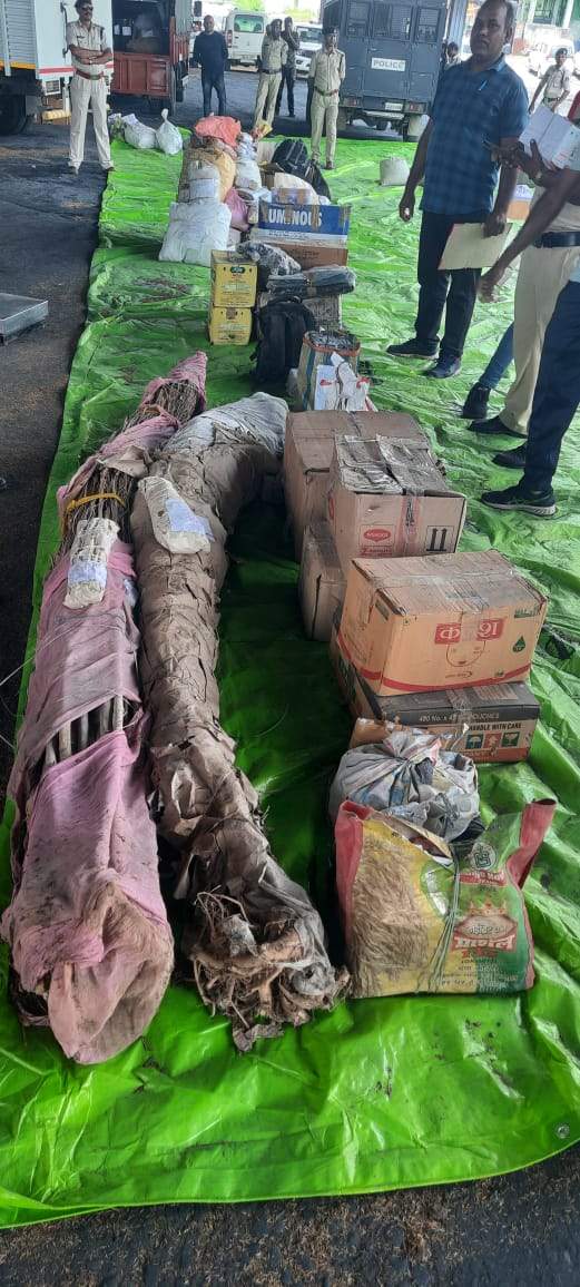 गांजा नष्टीकरण कर बिजली उत्पादन 