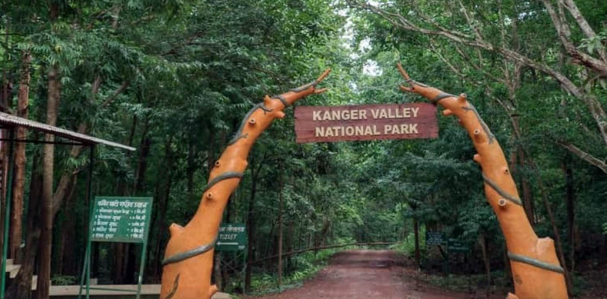 कांगेर घाटी राष्ट्रीय उद्यान में ‘युवोदय वन मितान’ कार्यशाला 