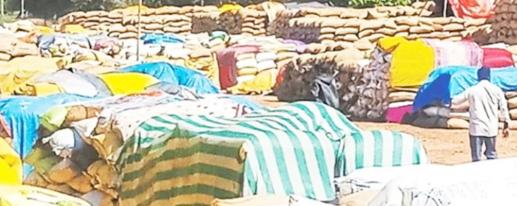 अब किसानों के नॉमिनी भी धान बेच सकेंगे, आधार अपडेट कराना अनिवार्य अब किसानों के नॉमिनी भी धान बेच सकेंगे, आधार अपडेट कराना अनिवार्य