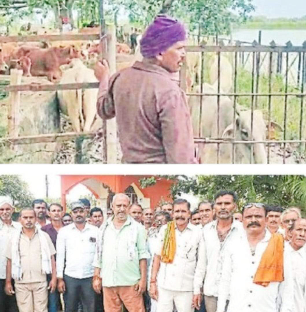 परेशान किसानों ने आवारा पशुओं को जंगल में छोडऩे कलेक्टर से की मांग 