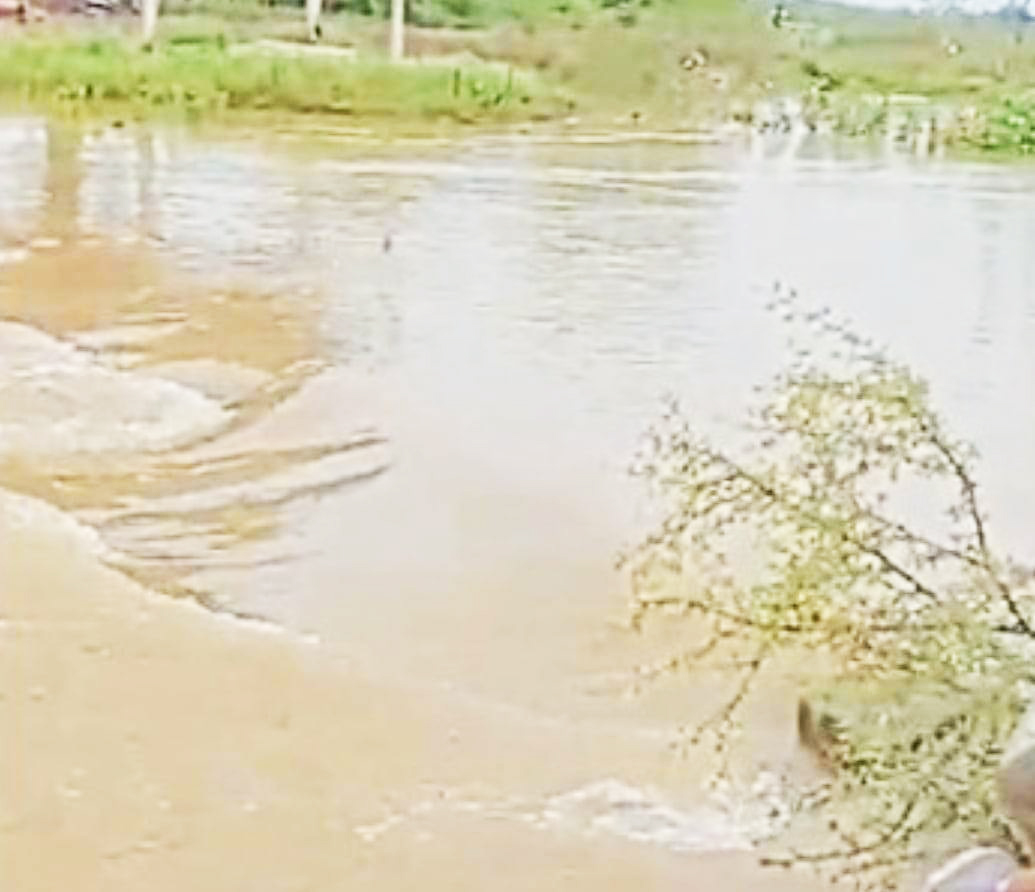 बारिश से नदी-नाले लबालब, हसदा नाला उफान पर, जान जोखिम में डालकर कर रहे पार