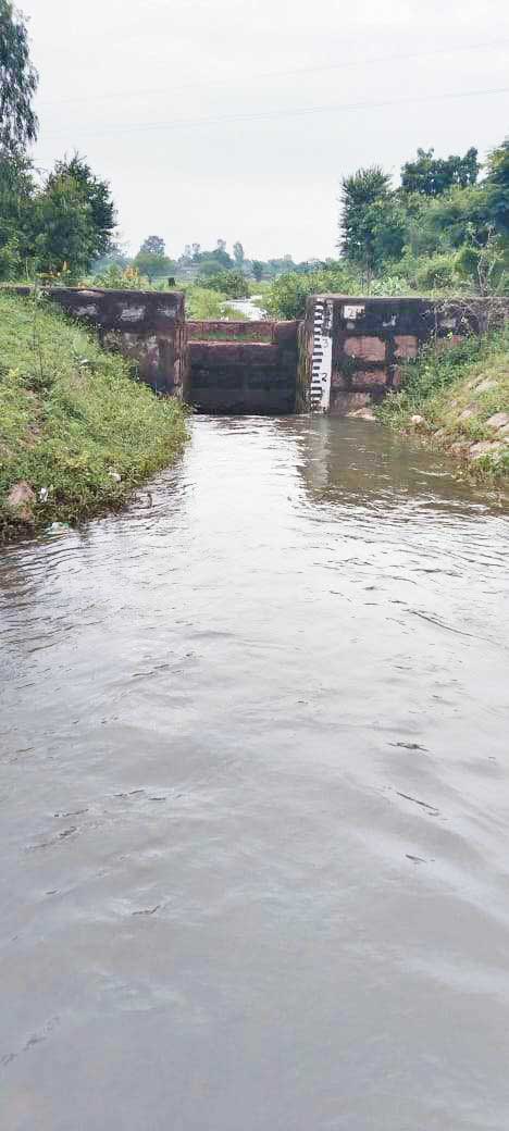 नहर के अंतिम छोर तक पहुंचा सिंचाई के लिए पानी नहर के अंतिम छोर तक पहुंचा सिंचाई के लिए पानी