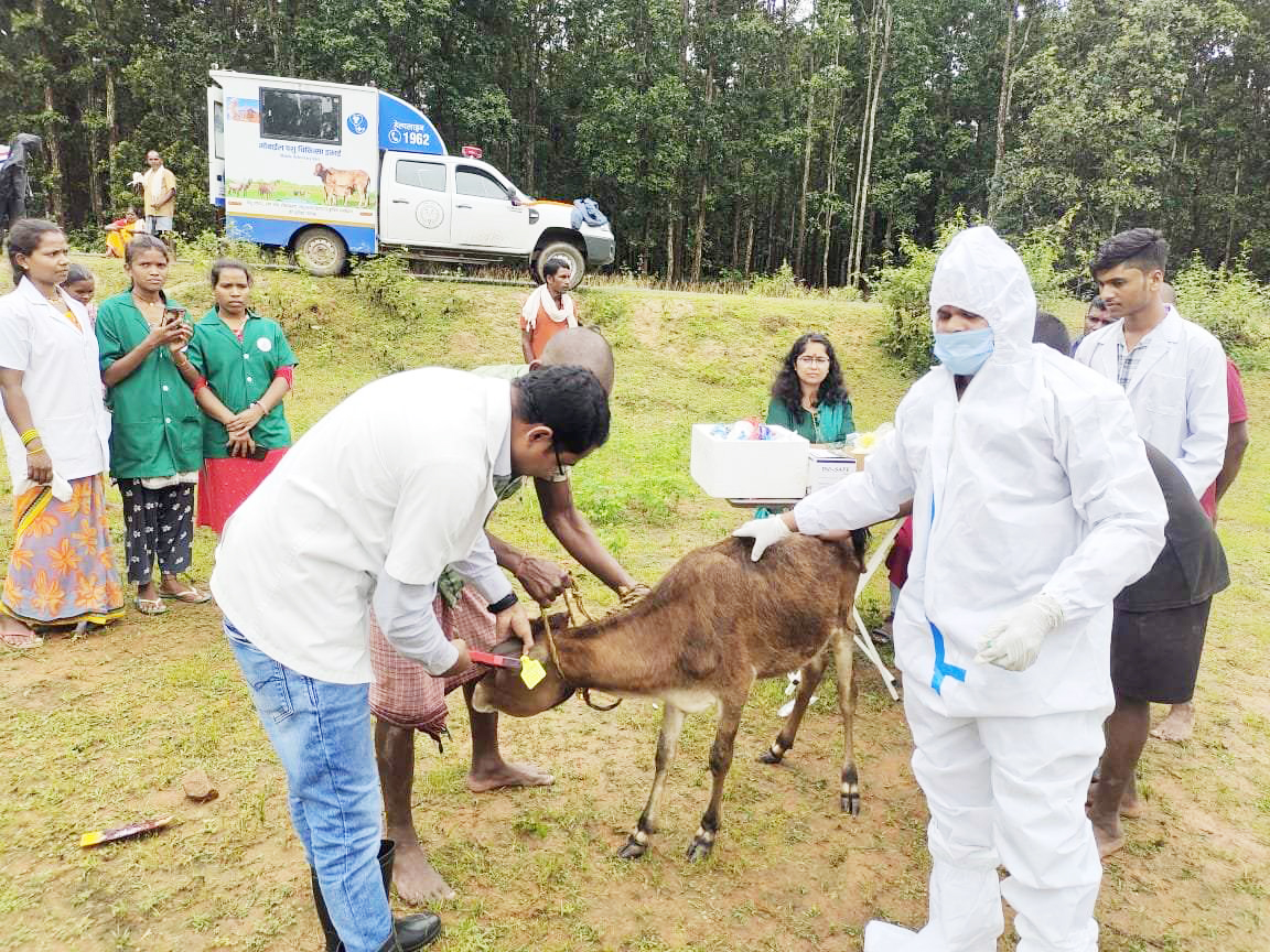 सुदूर वनांचल क्षेत्र में मोबाइल पशुचिकित्सा यूनिट शुरू
