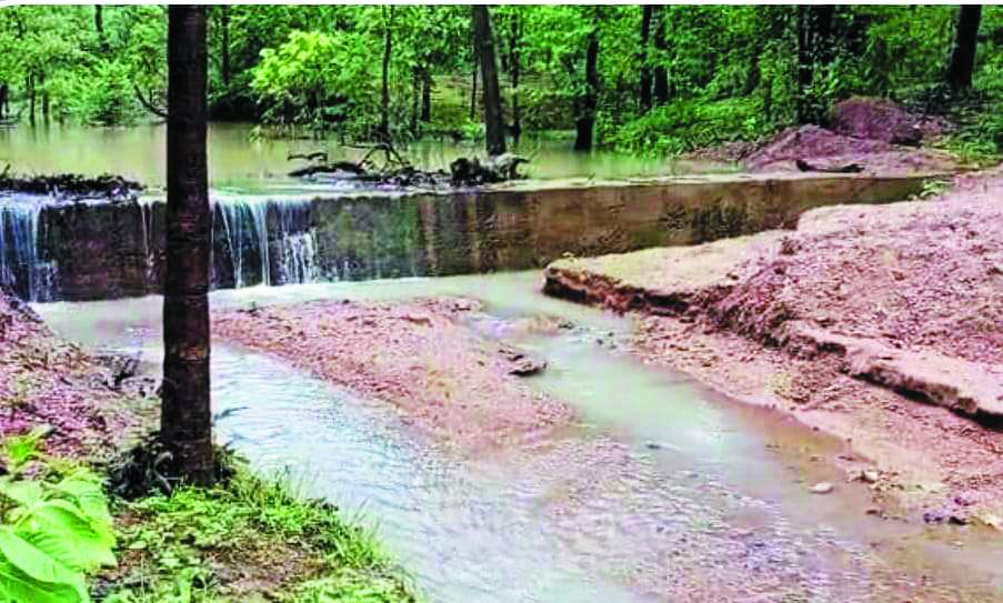 बगनई नरवा विकास से भू-जल स्तर में बढ़ोत्तरी, रोजगार और सिंचाई के साधन बढ़े बगनई नरवा विकास से भू-जल स्तर में बढ़ोत्तरी, रोजगार और सिंचाई के साधन बढ़े