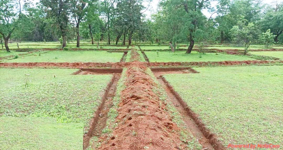 नरवा विकास: बिखेरते हरियाली के साथ वनांचल में भरा उल्लास