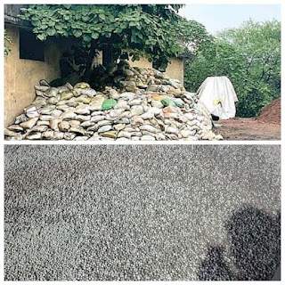 ढाबों में खनिज टीम की दबिश ढाबों में खनिज टीम की दबिश
