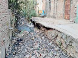 गंदगी व खरपतवार पसरी हुई है चीरघर में