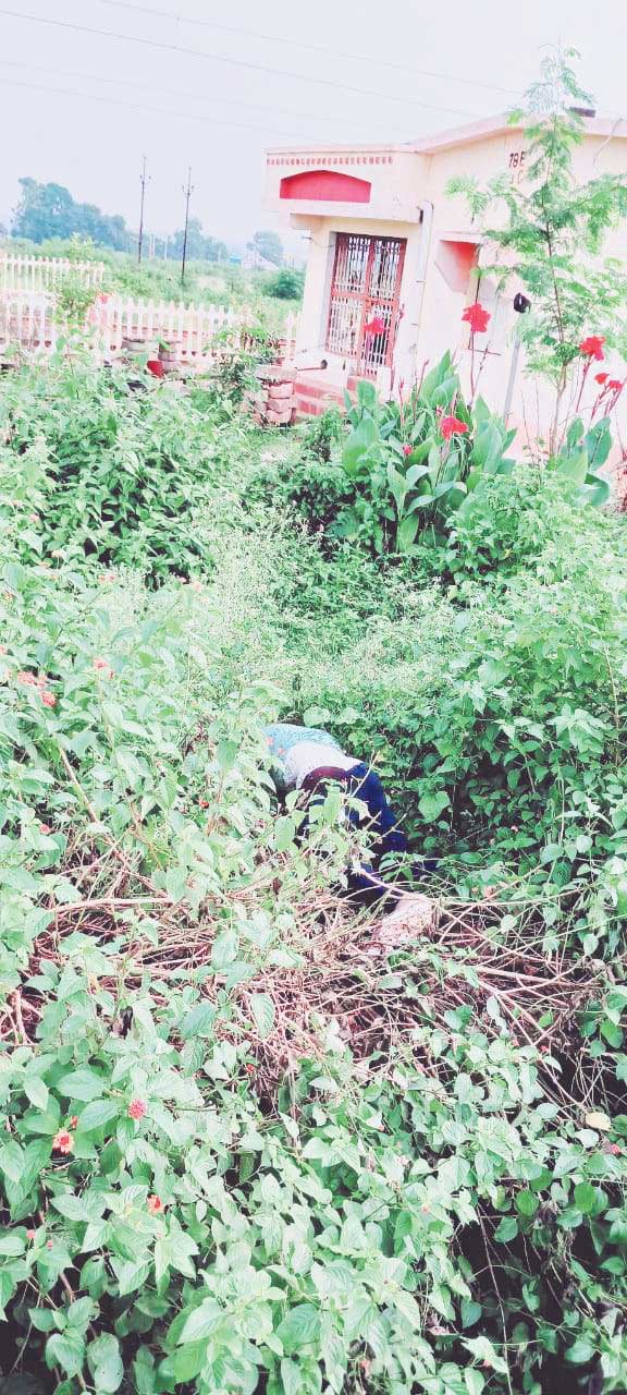  रेल्वे फाटक के पास जंगल में मिली युवक की लाश, जांच शुरू