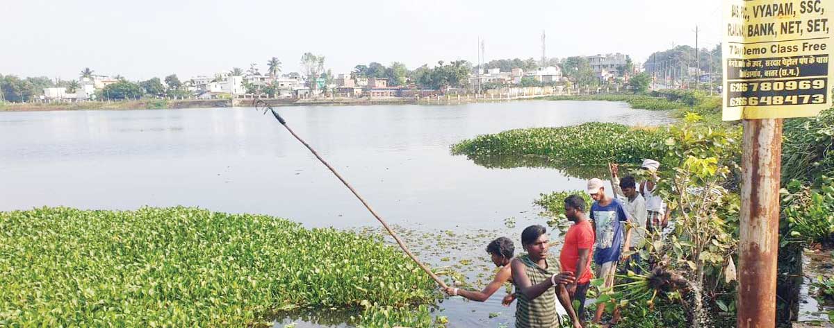 तेज हुआ बंधा तालाब से जलकुंभी की सफाई का अभियान